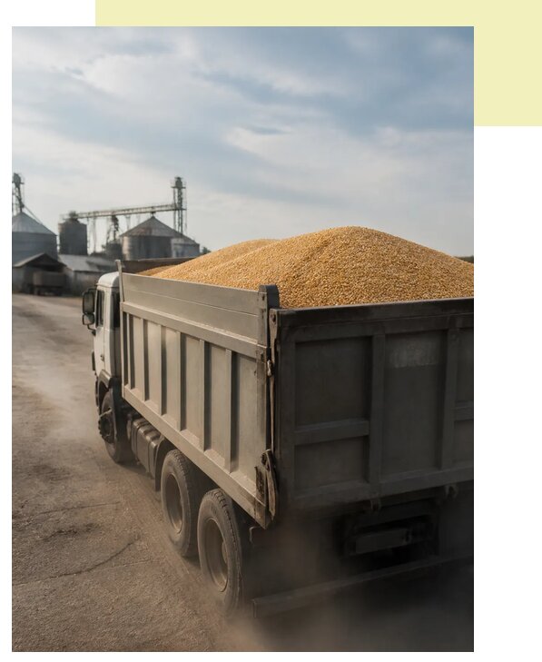 Перевозка сельхозпродукции навалом в Старого Оскол по цене от 3035 р. | Агросервис-Срк